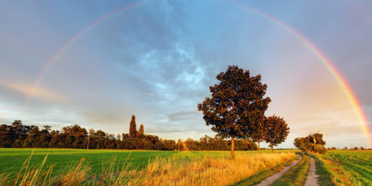 Les couleurs spectrales : L'impression visible des couleurs