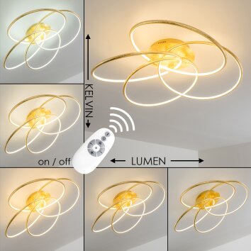 Plafonnier Glen LED Or, 1 lumière, Télécommandes