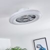 Ventilateur de plafond Piacenza LED Chrome, Blanc, 1 lumière, Télécommandes