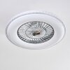 Ventilateur de plafond Piacenza LED Chrome, Blanc, 1 lumière, Télécommandes