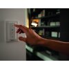 Spot encastrable, kit d'extension Philips Hue Ambiance White Milliskin Argenté, 1 lumière, Télécommandes