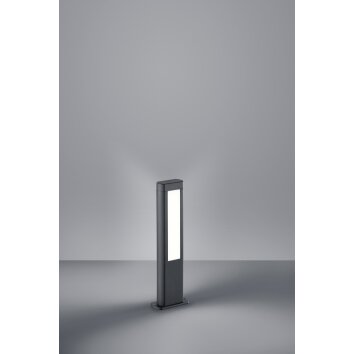 Borne lumineuse Trio RHINE LED Anthracite, 2 lumières