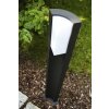 Lampadaire extérieur Trio SUEZ LED Noir, 1 lumière