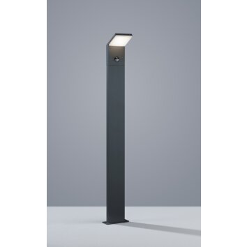 Borne lumineuse Trio PEARL LED Anthracite, 1 lumière, Détecteur de mouvement