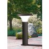 Lampadaire extérieur Trio KONGO Noir, 1 lumière