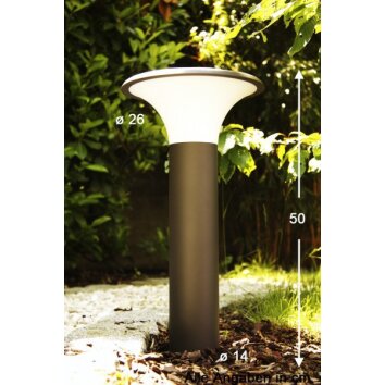 Lampadaire extérieur Trio KONGO Noir, 1 lumière