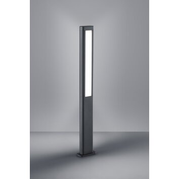 Borne lumineuse Trio RHINE LED Anthracite, 2 lumières