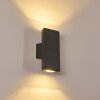 Applique murale Roseau LED Anthracite, 1 lumière