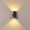 Applique murale Roseau LED Anthracite, 1 lumière