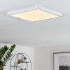 Plafonnier Siguna LED Blanc, 1 lumière