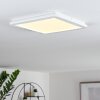 Plafonnier Siguna LED Blanc, 1 lumière