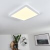 Plafonnier Siguna LED Blanc, 1 lumière