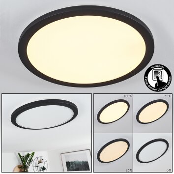 Plafonnier Siguna LED Noir, Blanc, 1 lumière