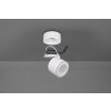 Plafonnier Trio Taurus LED Blanc, 2 lumières