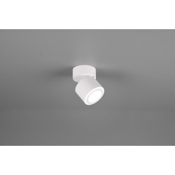 Plafonnier Trio Taurus LED Blanc, 2 lumières