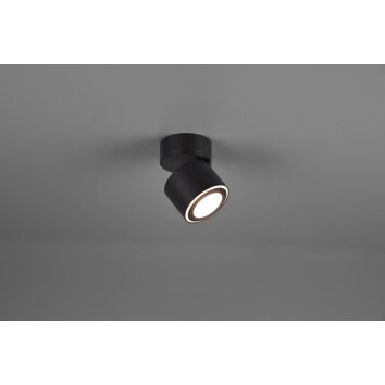 Plafonnier Trio Taurus LED Noir, 2 lumières