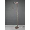 Lampadaire Trio Barrie LED Vieux laiton, 2 lumières