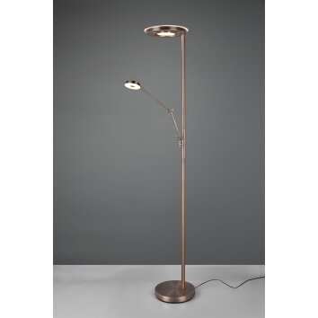 Lampadaire Trio Barrie LED Vieux laiton, 2 lumières