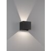 Applique murale Fischer & Honsel Wall LED Noir, 2 lumières