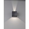 Applique murale Fischer & Honsel Wall LED Noir, 2 lumières