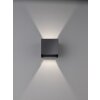 Applique murale Fischer & Honsel Wall LED Noir, 2 lumières