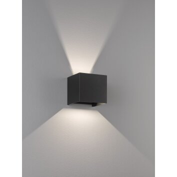 Applique murale Fischer & Honsel Wall LED Noir, 2 lumières