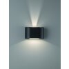 Applique murale Fischer & Honsel Wall LED Noir, 2 lumières