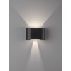 Applique murale Fischer & Honsel Wall LED Noir, 2 lumières