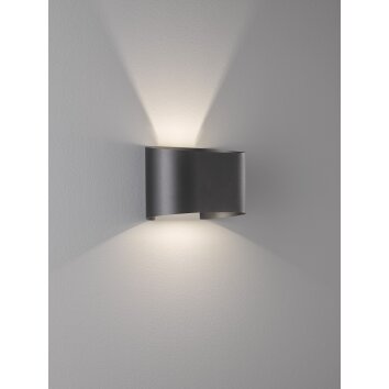 Applique murale Fischer & Honsel Wall LED Noir, 2 lumières