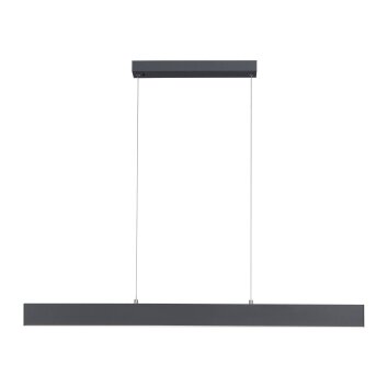 Suspension Leuchten-Direkt NILA LED Anthracite, 2 lumières, Télécommandes