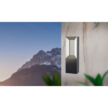 Borne lumineuse Eglo RIFORANO LED Noir, 2 lumières