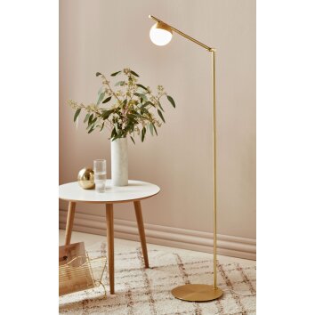 Lampadaire Nordlux CONTINA Laiton, 1 lumière