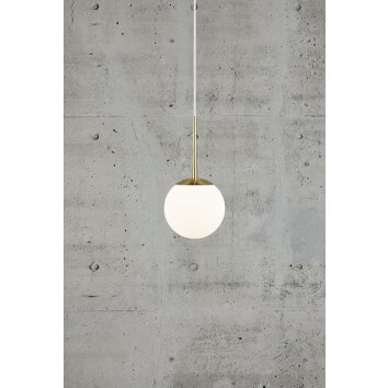 Suspension Nordlux GRANT Laiton, 1 lumière