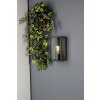 Applique murale d'extérieur Lutec Mirage Anthracite, 1 lumière