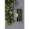 Applique murale d'extérieur Lutec Mirage Anthracite, 1 lumière