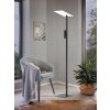 Lampadaire Eglo BUDENSEA LED Noir, Blanc, 2 lumières