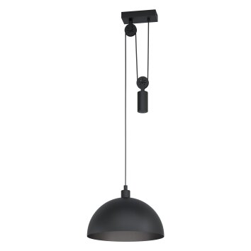 Suspension Eglo WINKWORTH Noir, 1 lumière