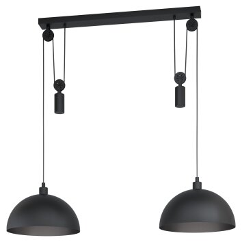 Suspension Eglo WINKWORTH Noir, 2 lumières