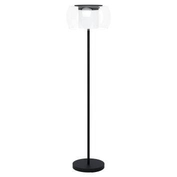 Lampadaire Eglo BRIAGLIA LED Noir, 1 lumière, Changeur de couleurs