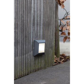 Applique murale d'extérieur LUTEC HELENA LED Anthracite, 1 lumière