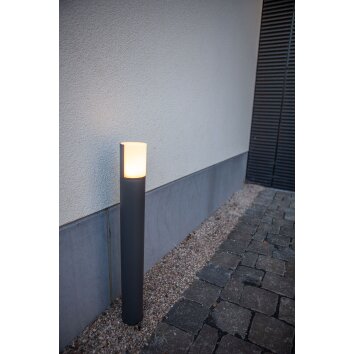 Borne lumineuse Lutec Cyra LED Anthracite, 1 lumière