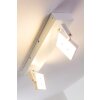 Spot plafond Guyana LED Chrome, Blanc, 2 lumières