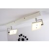 Spot plafond Guyana LED Chrome, Blanc, 2 lumières