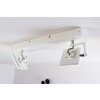 Spot plafond Guyana LED Chrome, Blanc, 2 lumières