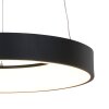 Suspension Steinhauer Ringlede Noir, Blanc, 1 lumière