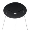 Suspension Steinhauer Ringlede Noir, Blanc, 1 lumière