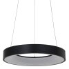 Suspension Steinhauer Ringlede Noir, Blanc, 1 lumière