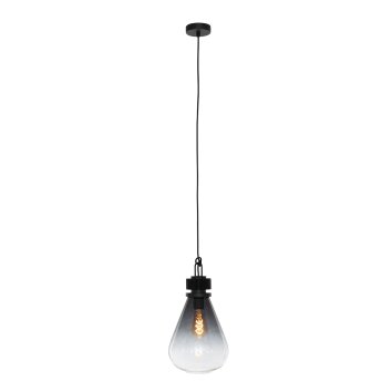 Suspension Steinhauer Flere Gris, Noir, 1 lumière