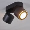 Plafonnier Appleton LED Noir, 2 lumières