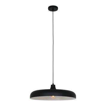 Suspension Steinhauer Krisip Noir, Blanc, 1 lumière